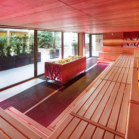 Wellness & Naturresort Reischlhof 4* فيغشايد